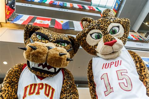 Iupuc's Mascot: A Look at its Role in Recruitment and Retention
